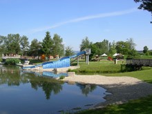Schachblumen Freizeitsee Großsteinbach
